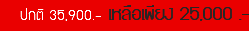 ปกติ 35,900.- เหลือเพียง 25,000 .-