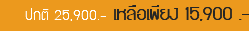 ปกติ 25,900.- เหลือเพียง 15,900 .-