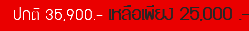 ปกติ 35,900.- เหลือเพียง 25,000 .-